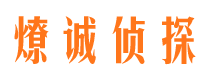 横县市调查取证